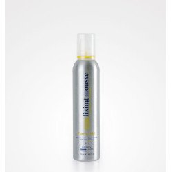 Design Look - Fixing Mousse Strong 250ml