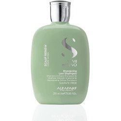 Alfaparf Semi di Lino - Scalp Renew Hair Loss Energizing Low Shampoo 250ml