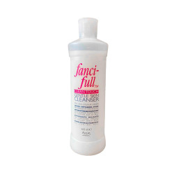 Fanci-full - Clean Touch 360ml